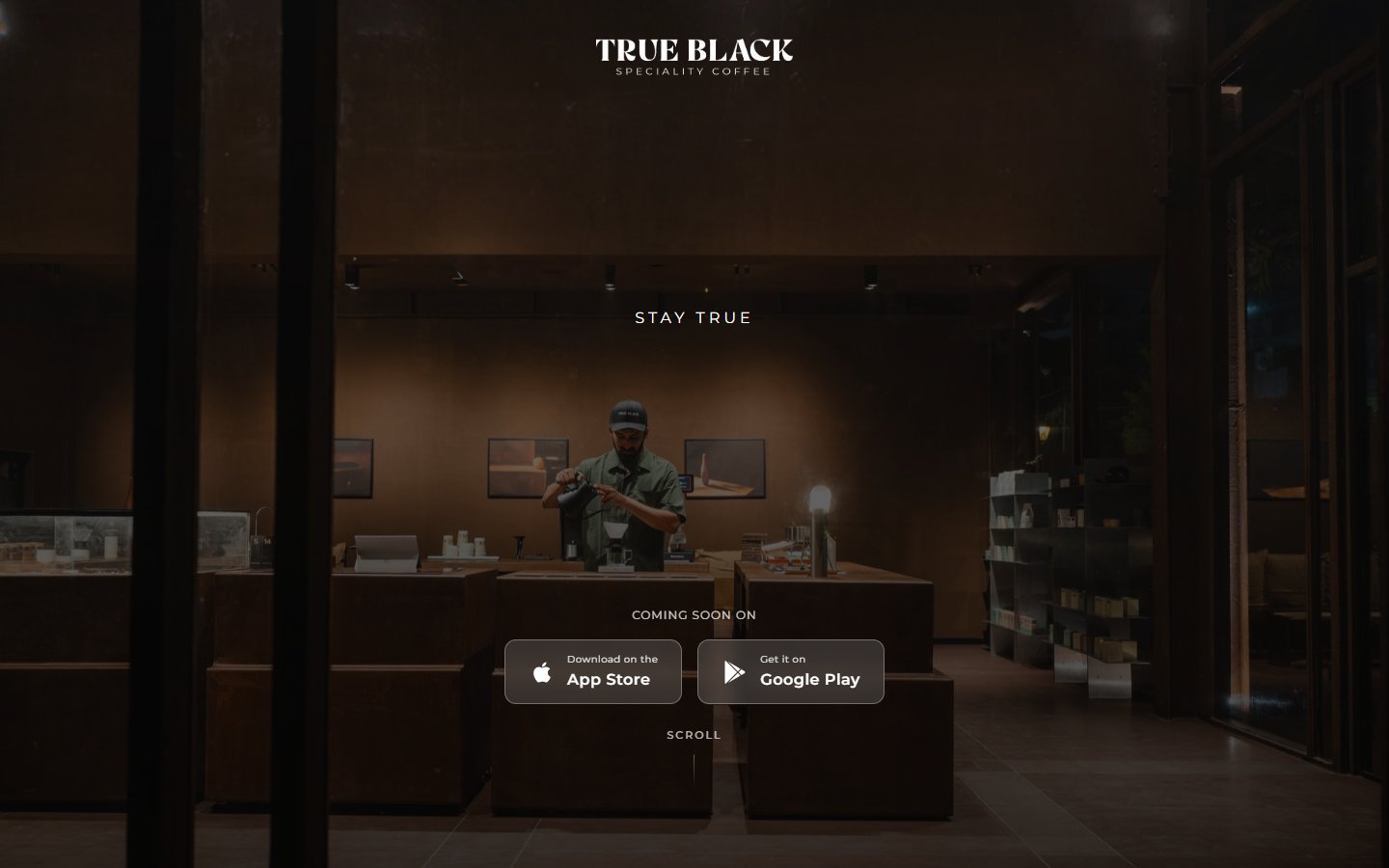 True Black — project demonstration